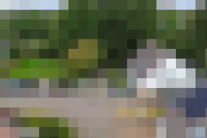 De Nes 7 Bolsward thumbnail 33