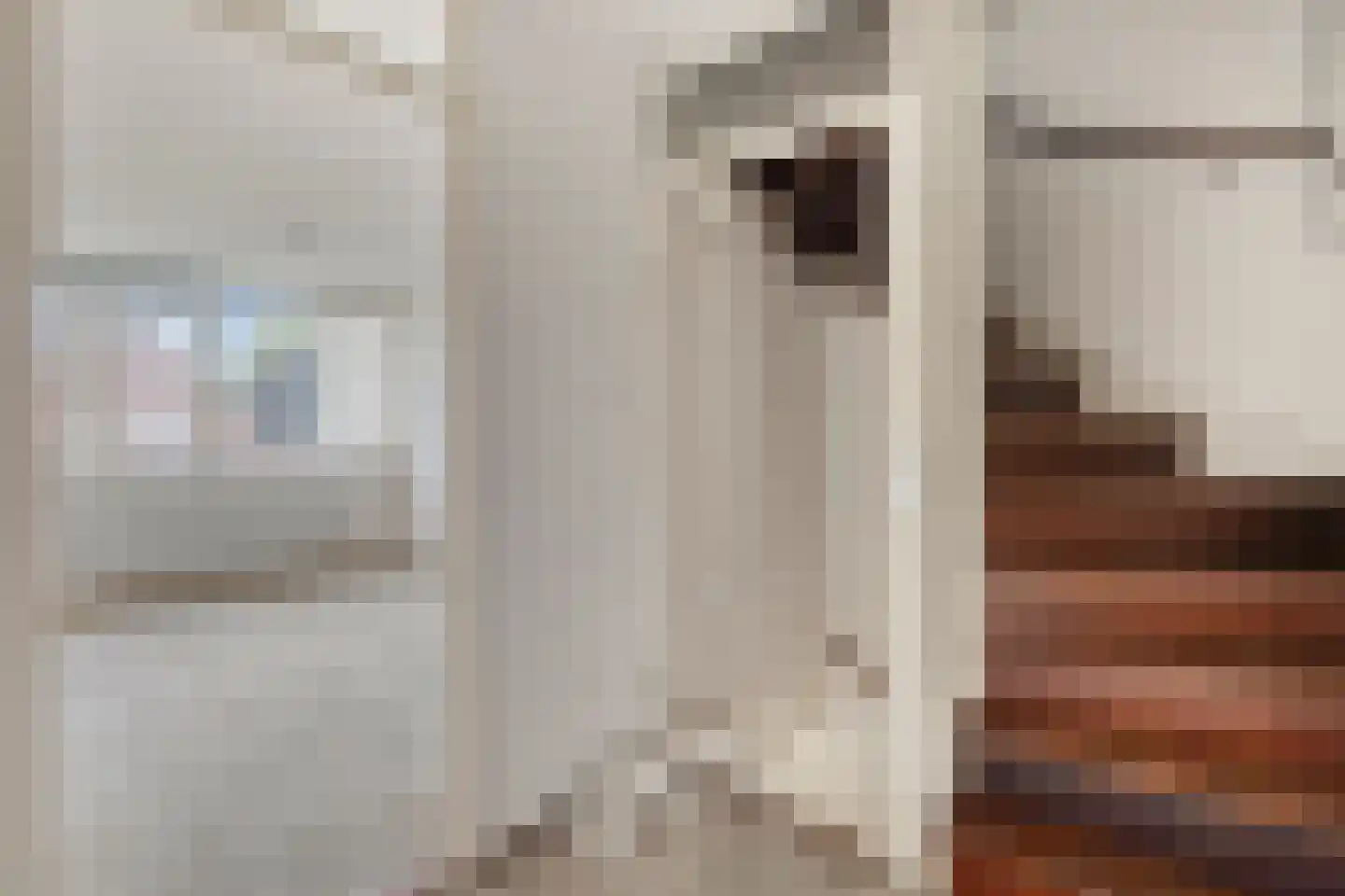 De Ness 31 Linschoten thumbnail 11
