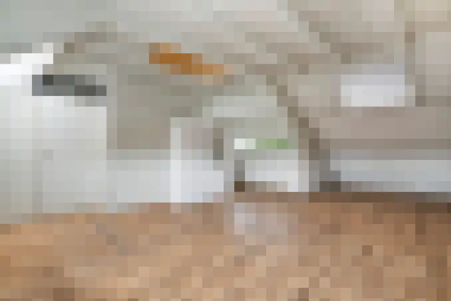 De Ness 31 Linschoten thumbnail 22