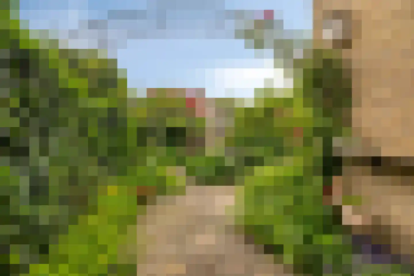 De Ness 31 Linschoten thumbnail 25