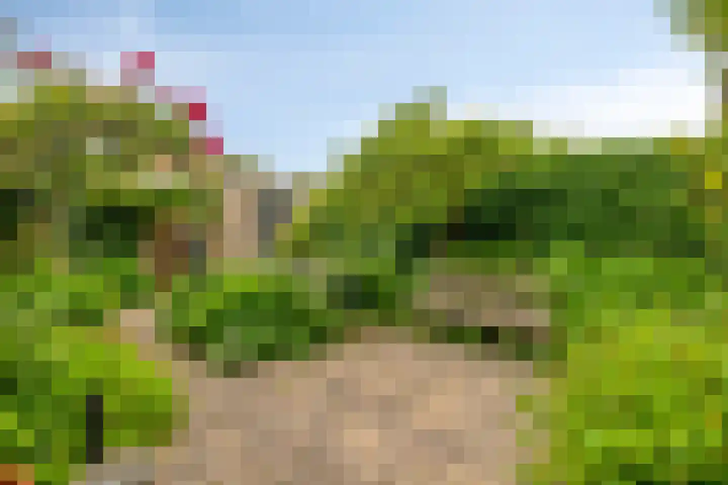 De Ness 31 Linschoten thumbnail 26
