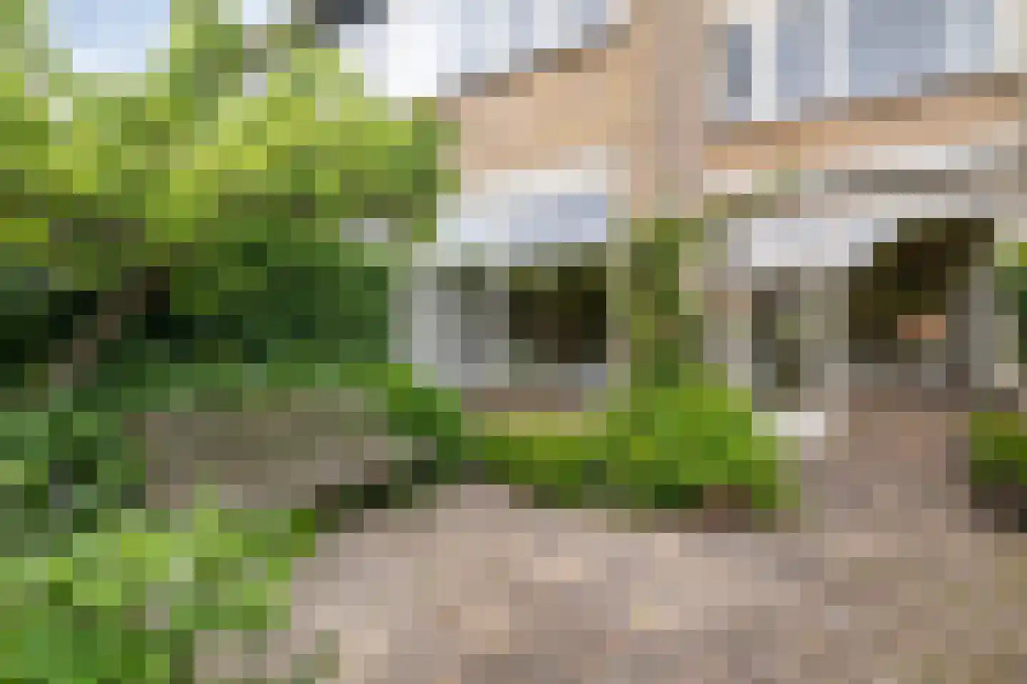 De Ness 31 Linschoten thumbnail 27