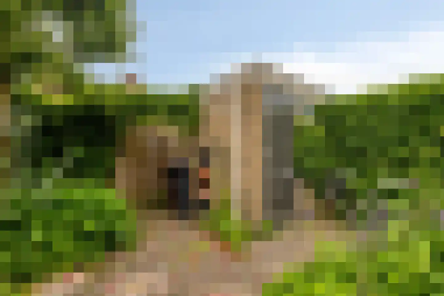De Ness 31 Linschoten thumbnail 28