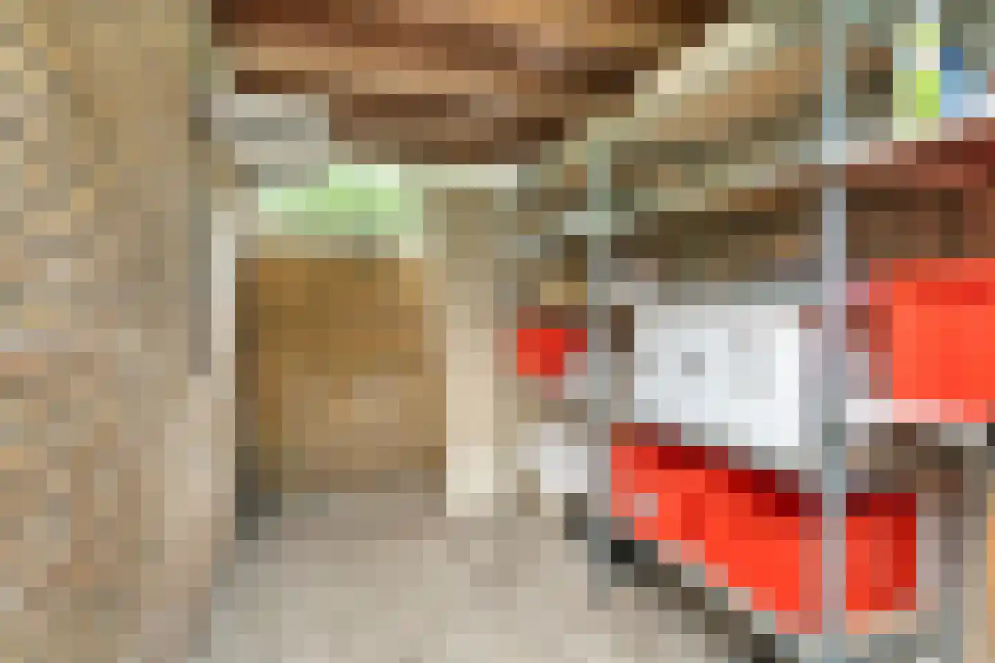 De Ness 31 Linschoten thumbnail 29