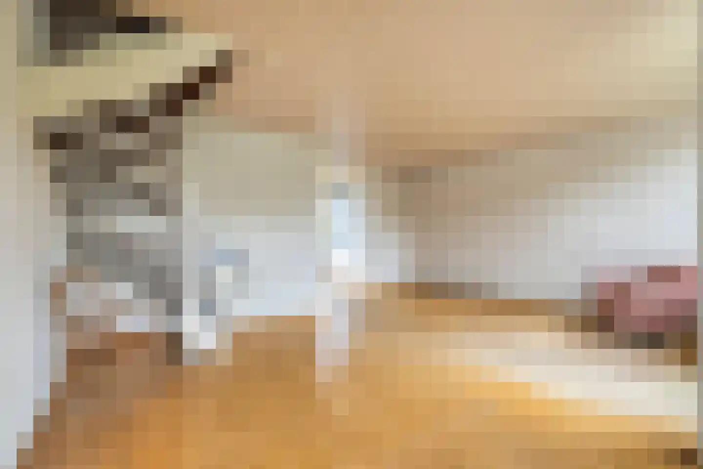 De Ness 31 Linschoten thumbnail 6