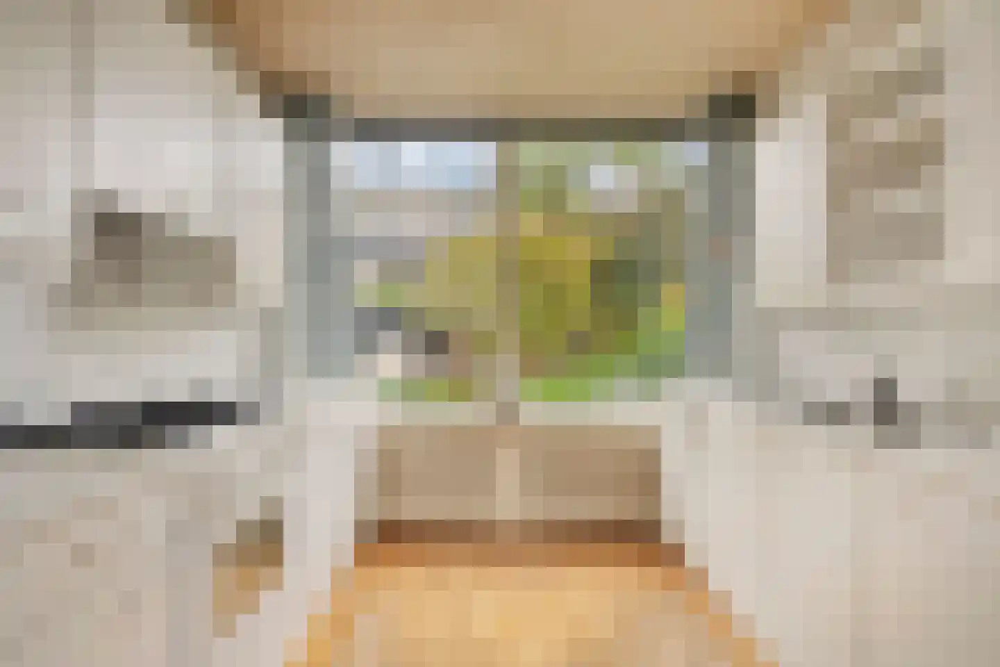 De Ness 31 Linschoten thumbnail 9