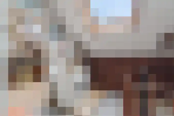 De Ness 32 Linschoten thumbnail 21