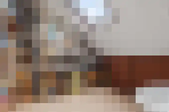 De Ness 32 Linschoten thumbnail 23