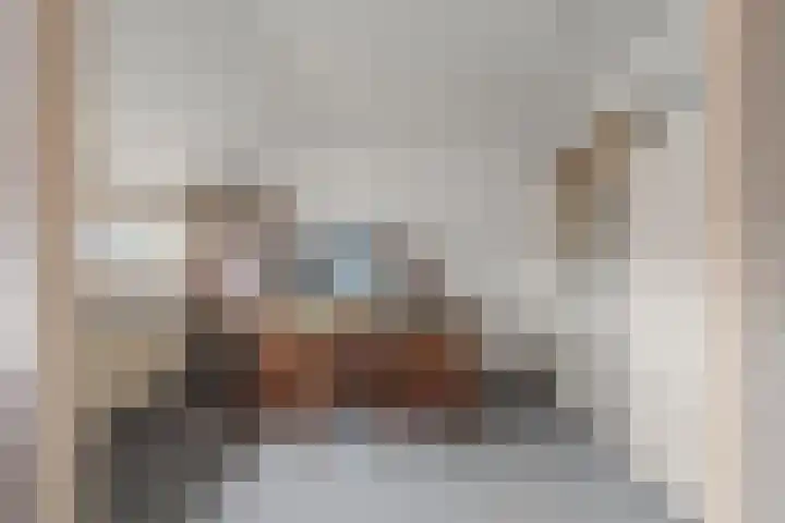 De Ness 32 Linschoten thumbnail 27