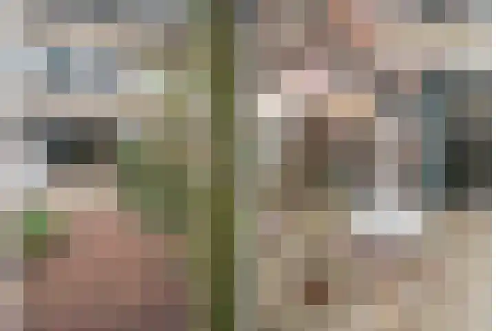 De Ness 32 Linschoten thumbnail 33