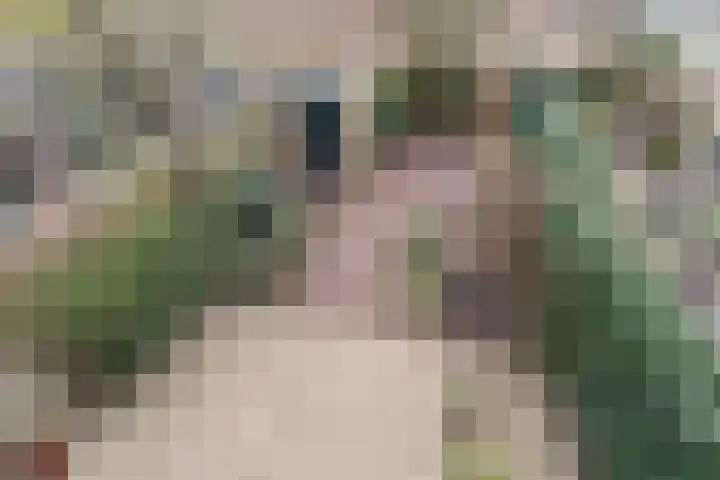 De Ness 32 Linschoten thumbnail 34