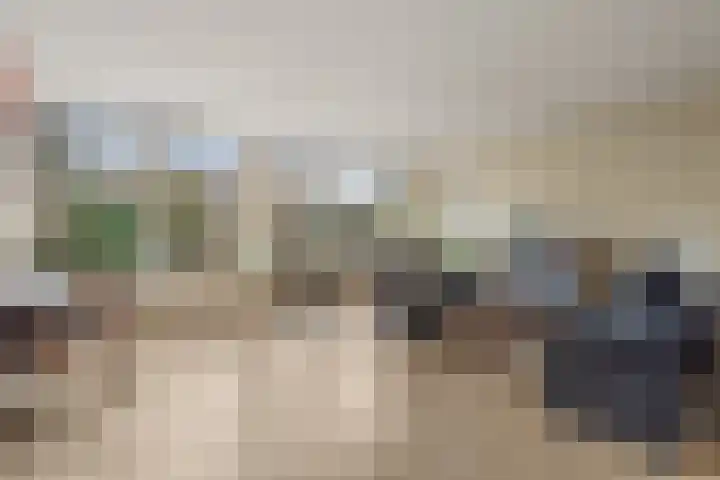 De Ness 32 Linschoten thumbnail 6