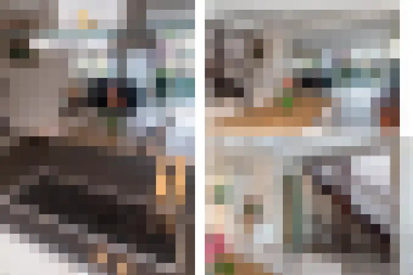 De Nesse 11 Wateringen thumbnail 12