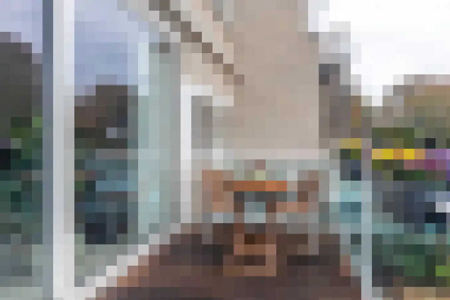 De Nesse 11 Wateringen thumbnail 17