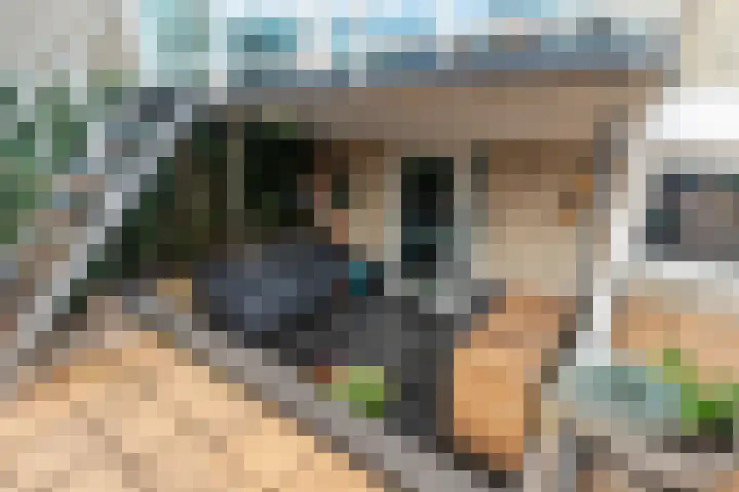 De Nesse 11 Wateringen thumbnail 22