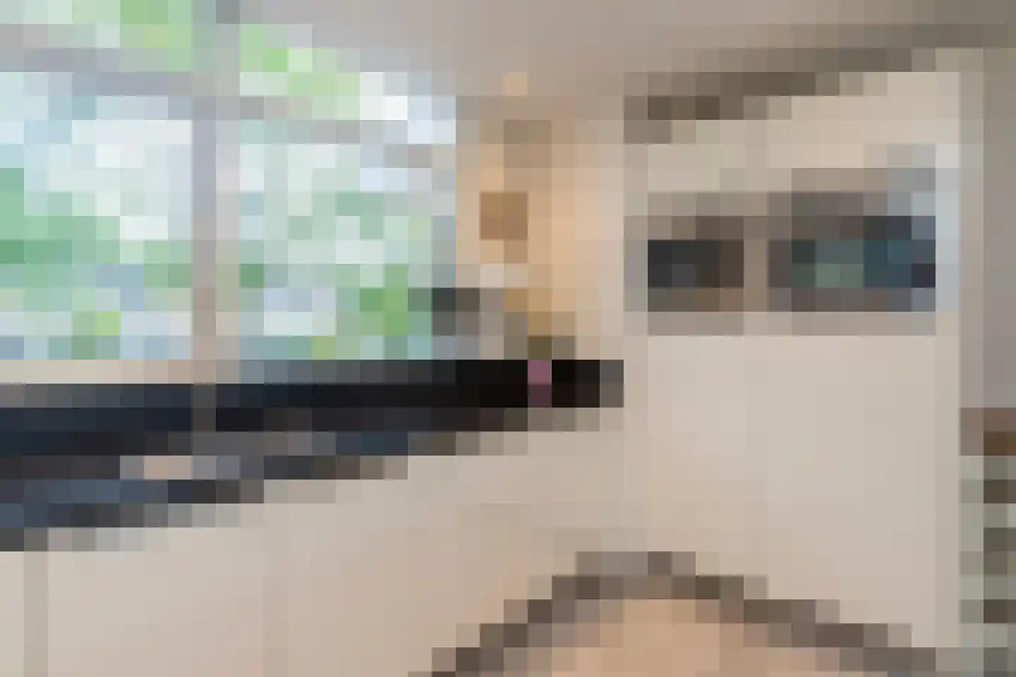 De Nesse 11 Wateringen thumbnail 8