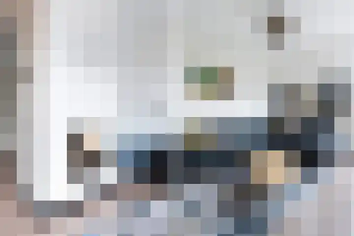 De Nesse 13 Wateringen thumbnail 11