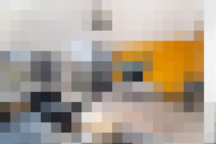 De Nesse 13 Wateringen thumbnail 12