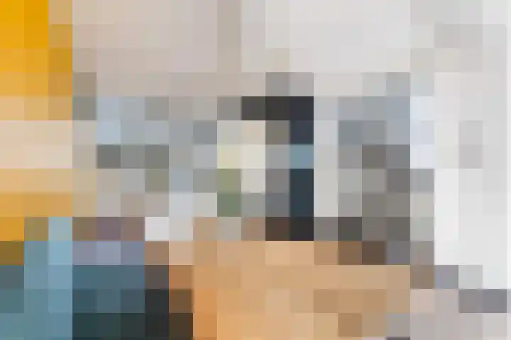 De Nesse 13 Wateringen thumbnail 14