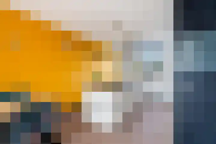 De Nesse 13 Wateringen thumbnail 15