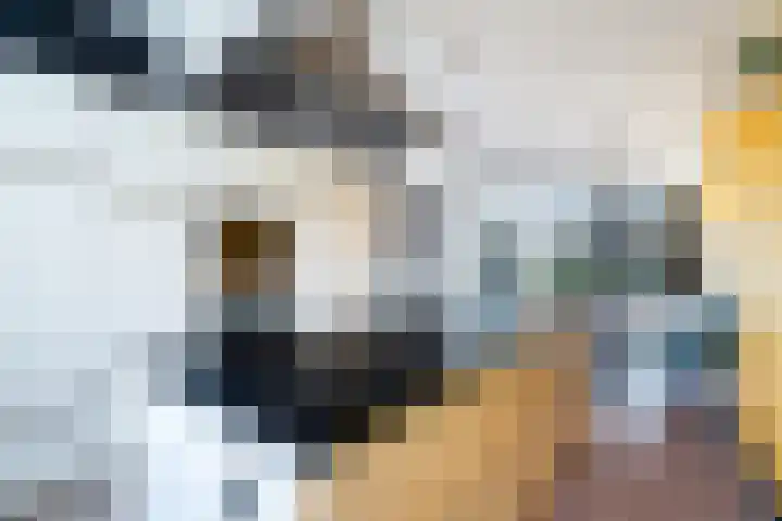 De Nesse 13 Wateringen thumbnail 16