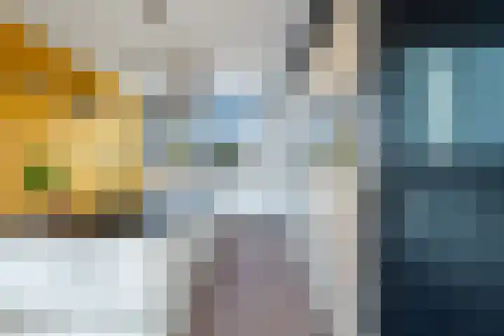 De Nesse 13 Wateringen thumbnail 17