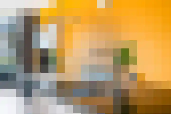 De Nesse 13 Wateringen thumbnail 18
