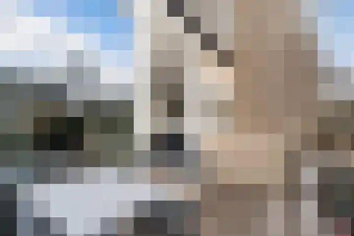 De Nesse 13 Wateringen thumbnail 20