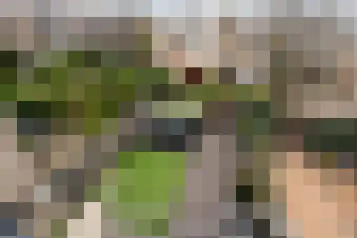 De Nesse 13 Wateringen thumbnail 21