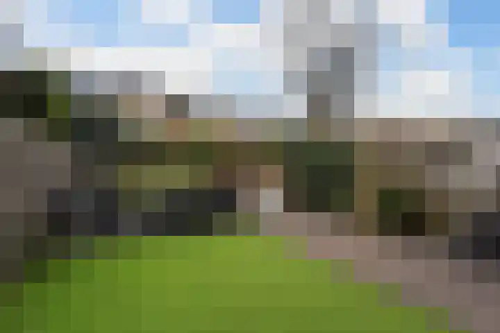 De Nesse 13 Wateringen thumbnail 23