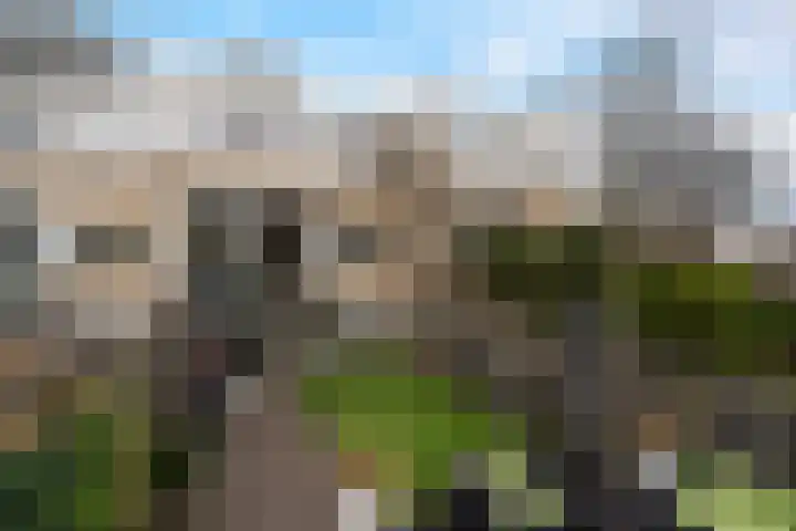 De Nesse 13 Wateringen thumbnail 24