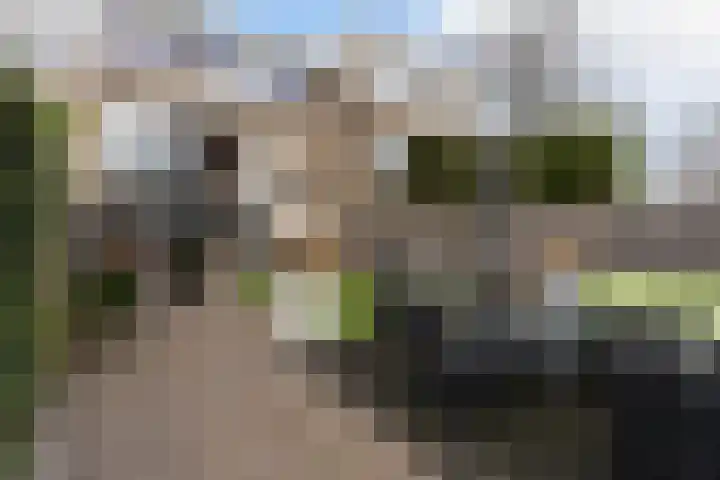 De Nesse 13 Wateringen thumbnail 25