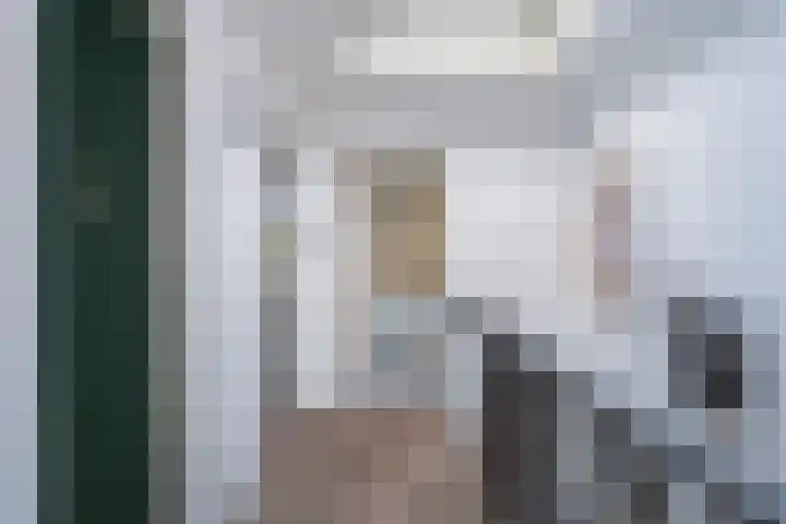 De Nesse 13 Wateringen thumbnail 27