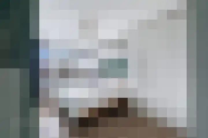 De Nesse 13 Wateringen thumbnail 28