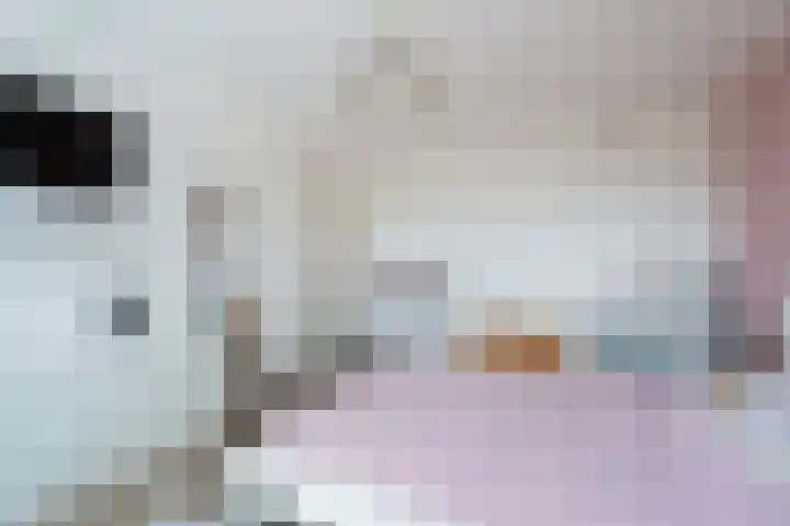 De Nesse 13 Wateringen thumbnail 32