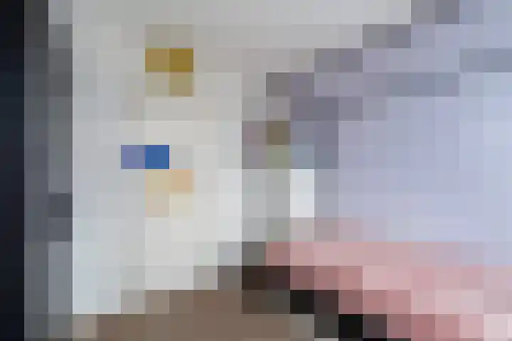 De Nesse 13 Wateringen thumbnail 34