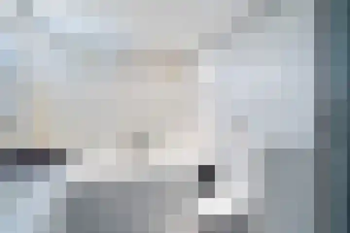 De Nesse 13 Wateringen thumbnail 35