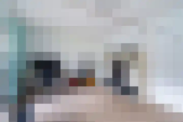 De Nesse 13 Wateringen thumbnail 40