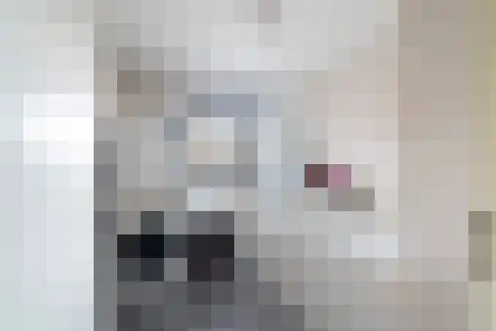 De Nesse 13 Wateringen thumbnail 41