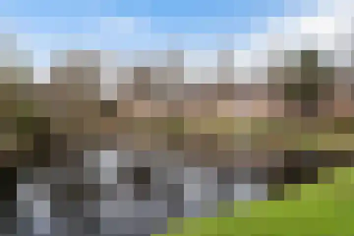 De Nesse 13 Wateringen thumbnail 42