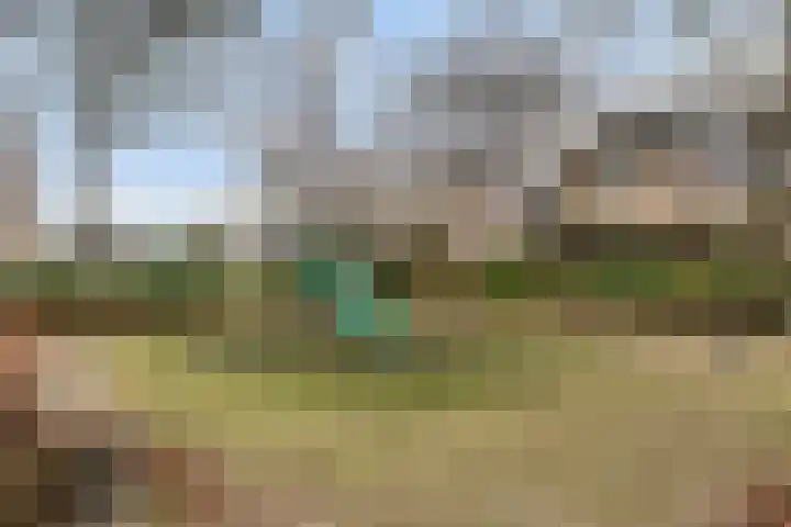 De Nesse 13 Wateringen thumbnail 43