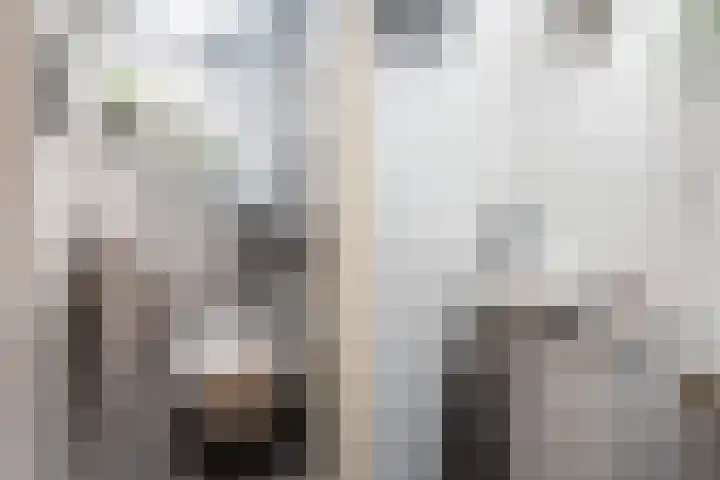 De Nesse 13 Wateringen thumbnail 8