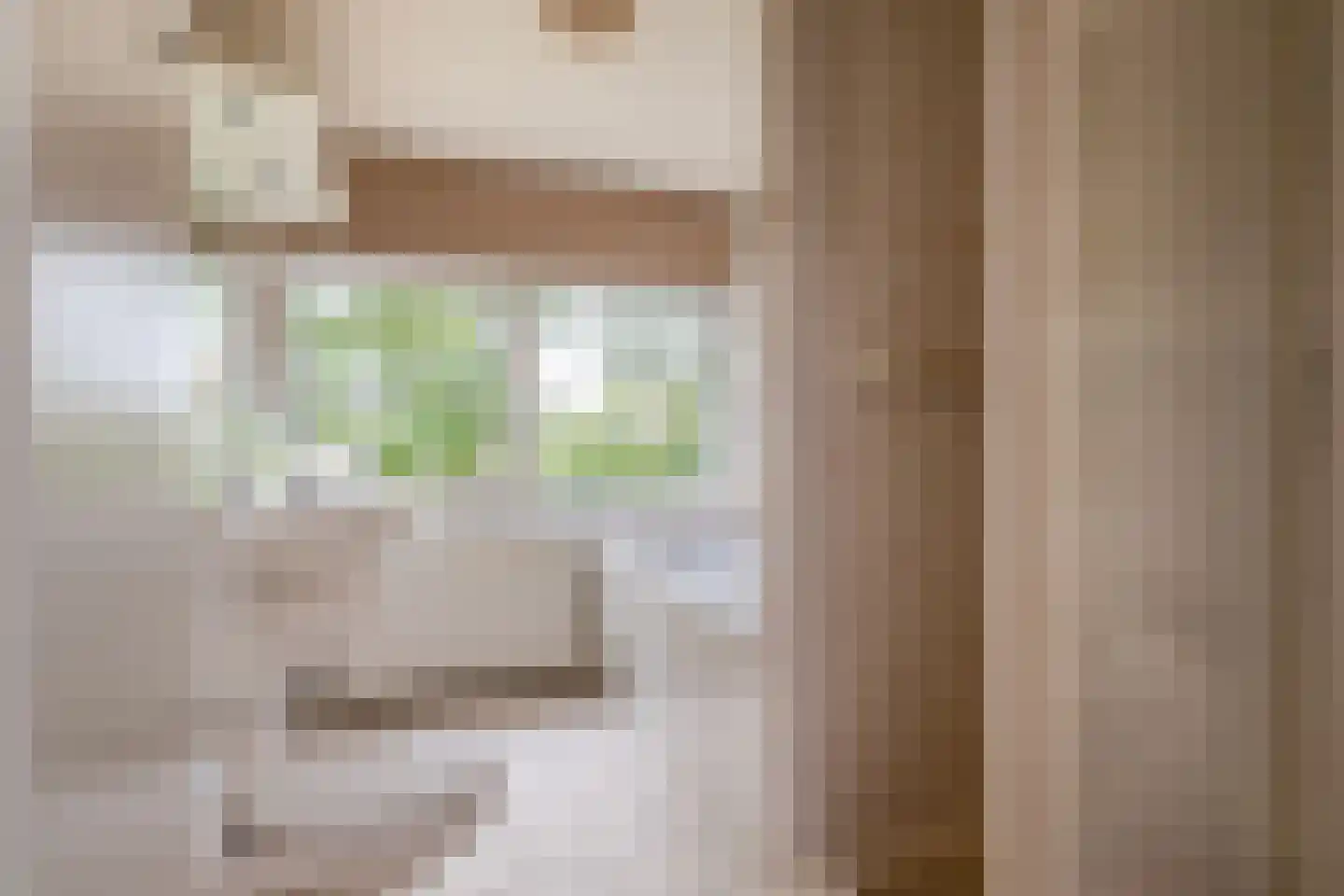 De Nesse 15 Wateringen thumbnail 12