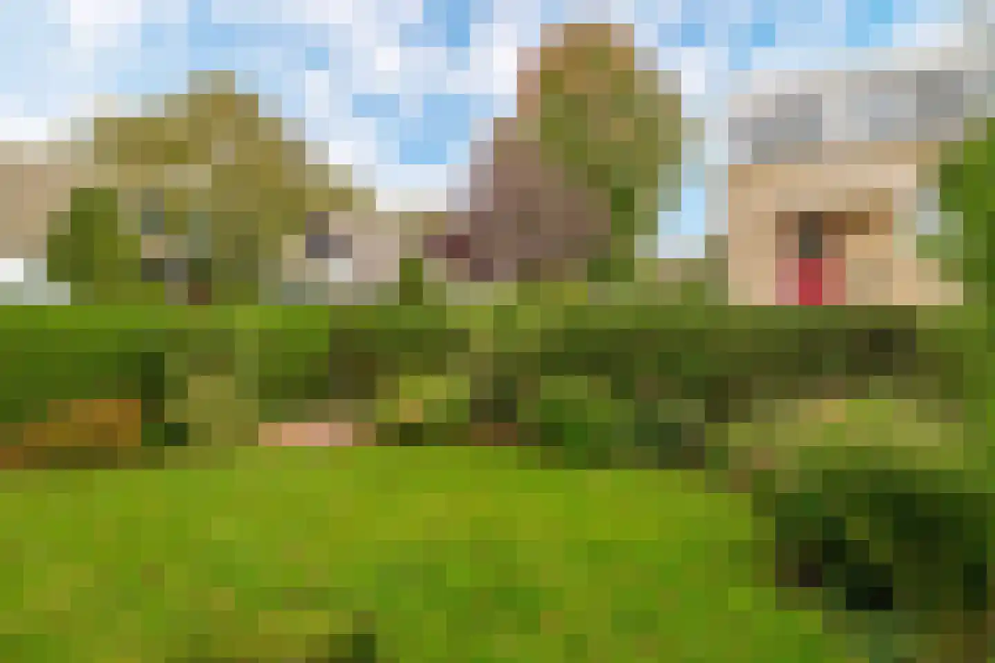 De Nesse 15 Wateringen thumbnail 17