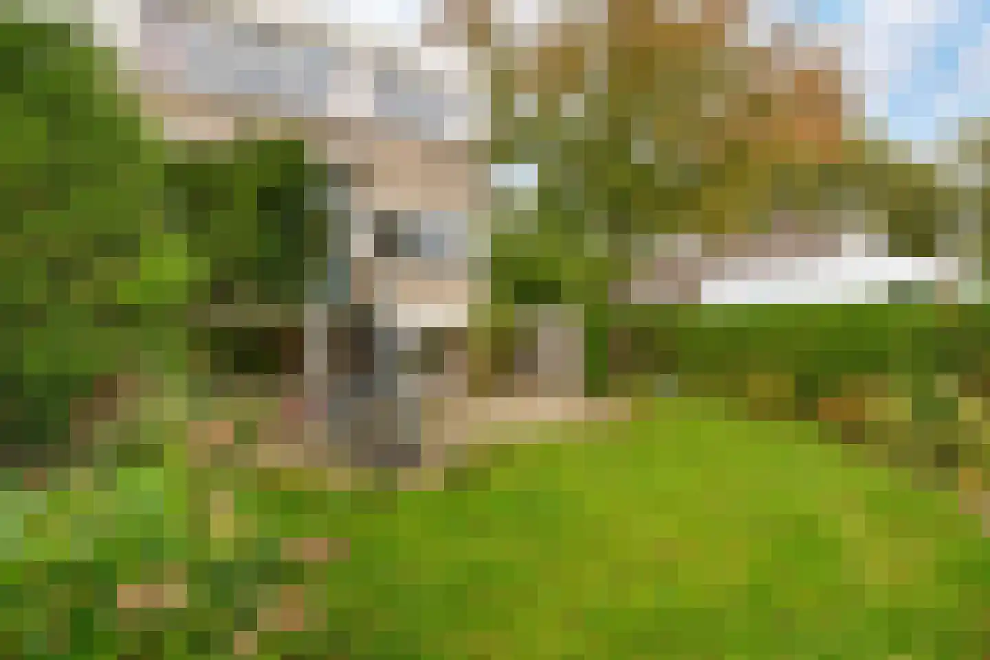 De Nesse 15 Wateringen thumbnail 18