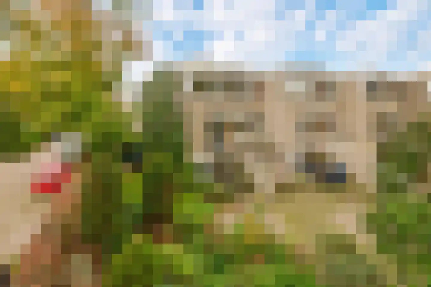 De Nesse 15 Wateringen thumbnail 19
