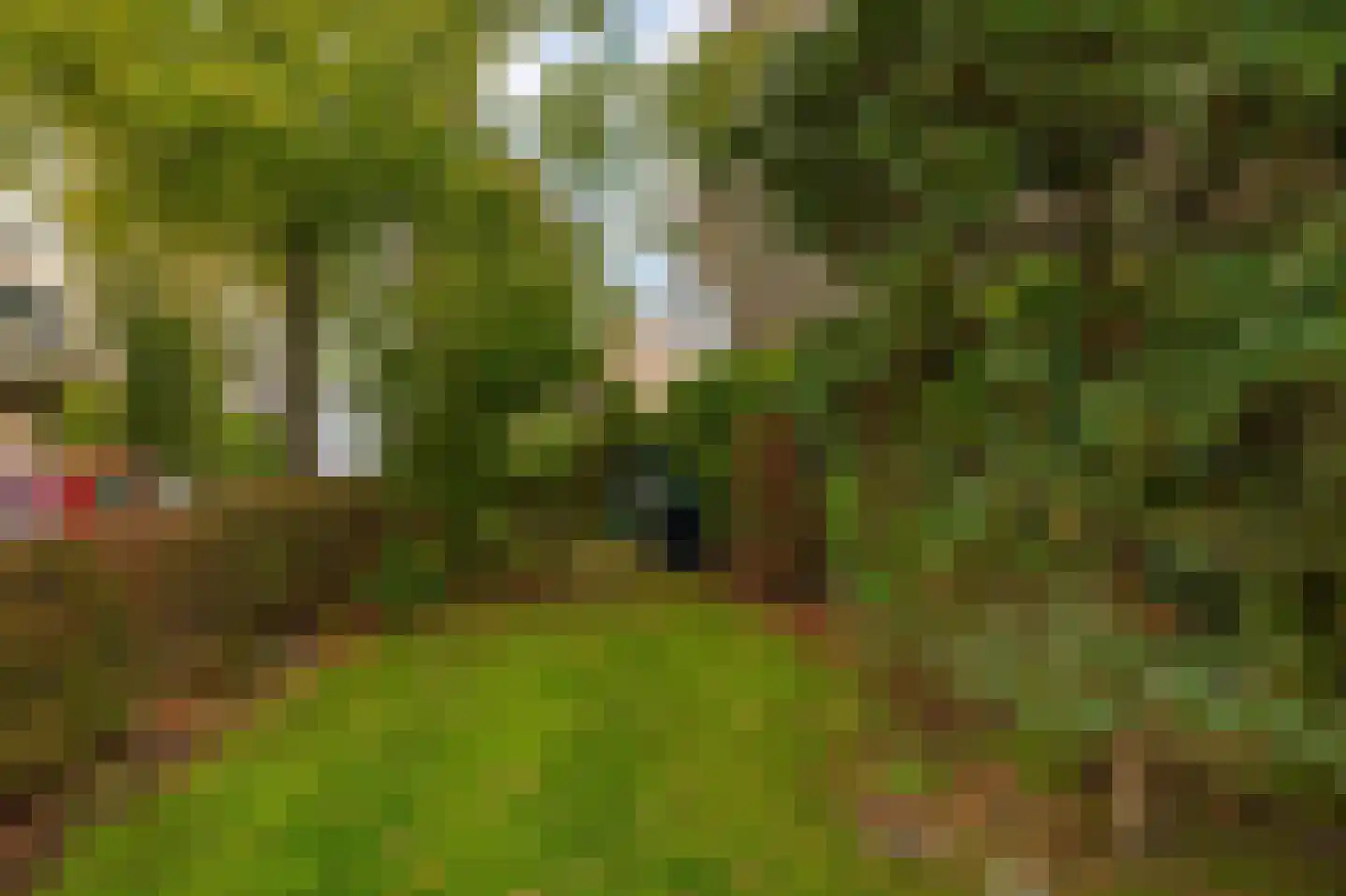 De Nesse 15 Wateringen thumbnail 20
