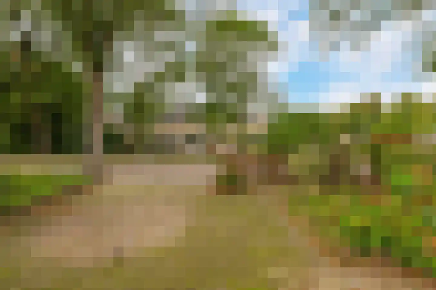 De Nesse 15 Wateringen thumbnail 21