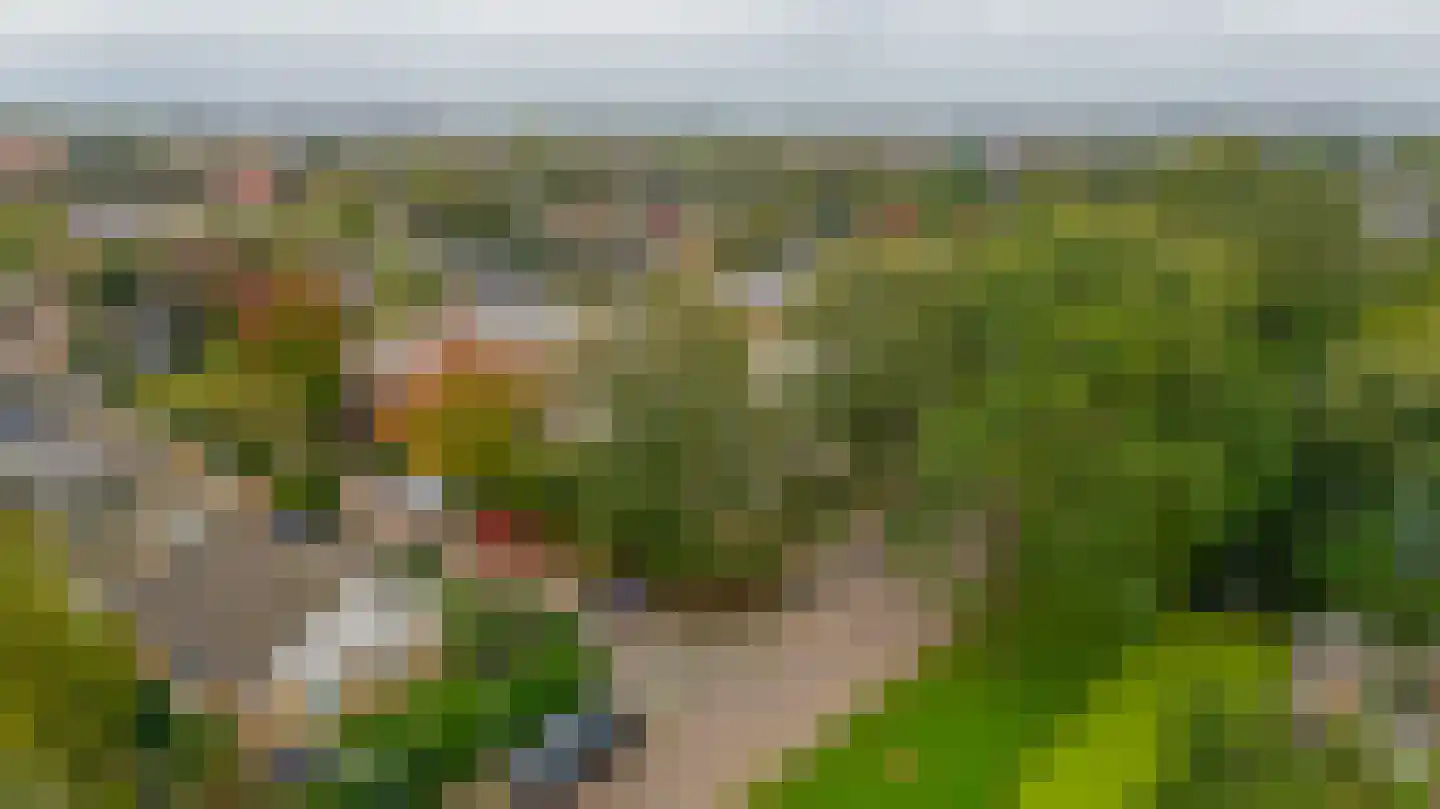 De Nesse 15 Wateringen thumbnail 22