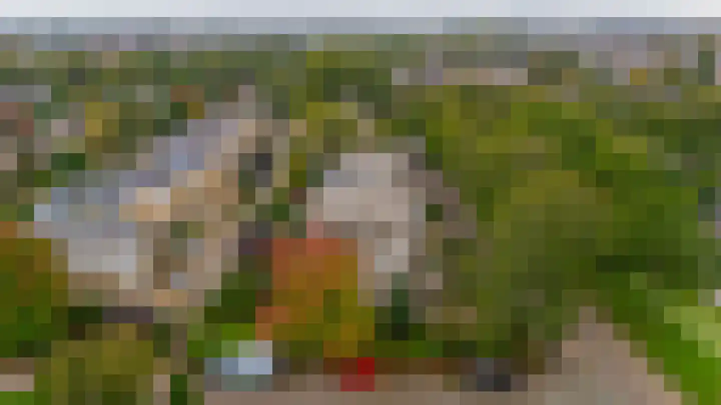 De Nesse 15 Wateringen thumbnail 23